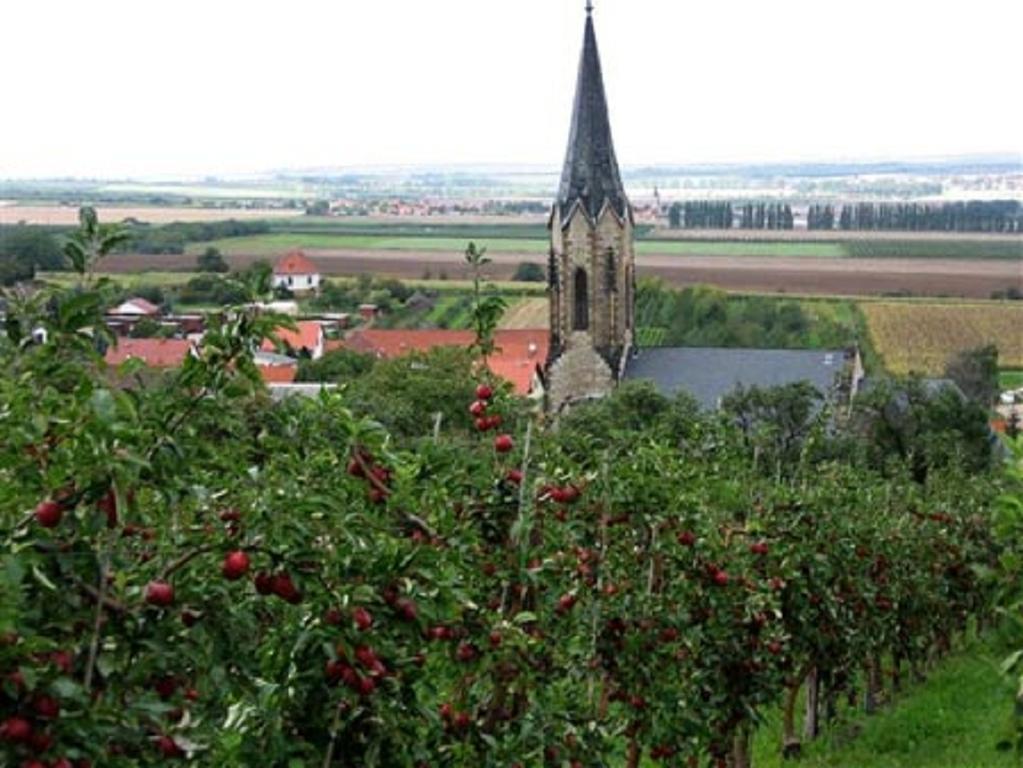 Motel Zur Festwiese Gierstadt Экстерьер фото
