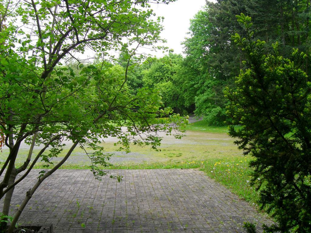 Motel Zur Festwiese Gierstadt Экстерьер фото